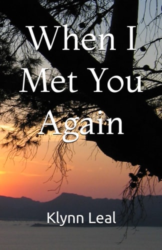 When I Met You Again