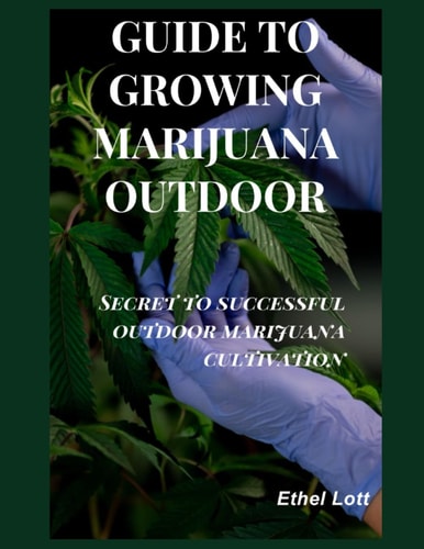 Guide to Growing Marijuana Outdoor Secret to Successful Outdoor Marijuana Cultivation