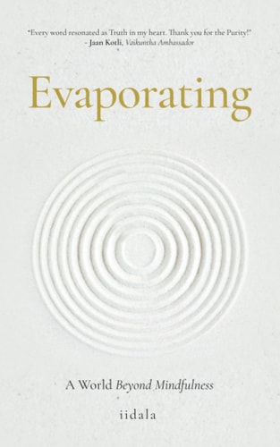Evaporating A World Beyond Mindfulness