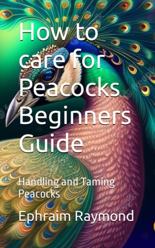 How to Care for Peacocks Beginners Guide Handling and Taming Peacocks