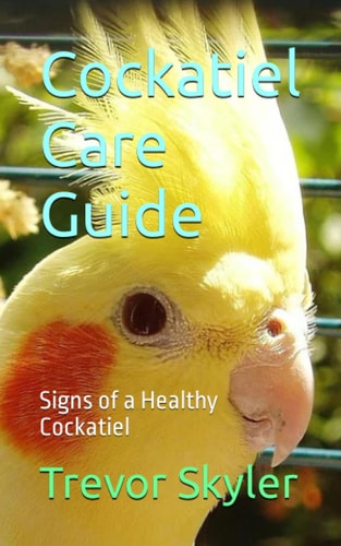 Cockatiel Care Guide Signs of a Healthy Cockatiel
