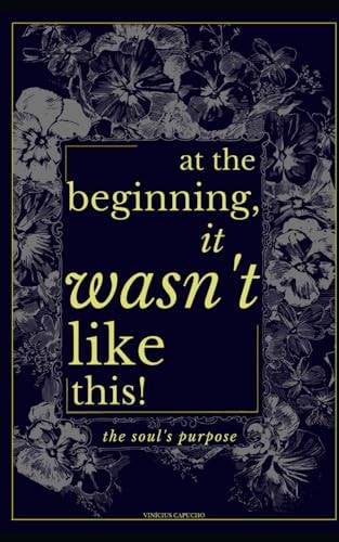 At The Beginning, It Wasn't Like This The Soul's Purpose