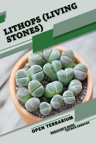 Lithops (Living Stones) Open Terrarium, Beginner's Guide