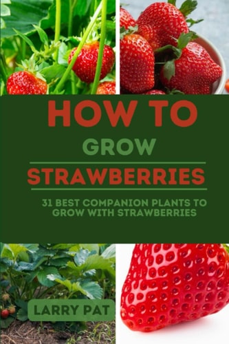How to Grow Strawberries 31 Best Companion Plants to Grow with Strawberries