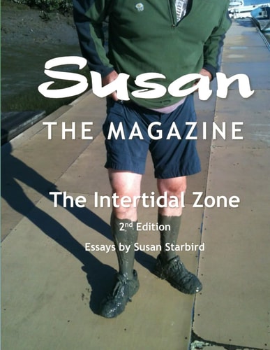 Susan The Magazine The Intertidal Zone