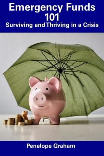 Emergency Funds 101 Surviving and Thriving in a Crisis
