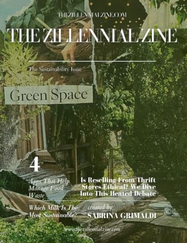 The Sustainability Issue The Zillennial Zine