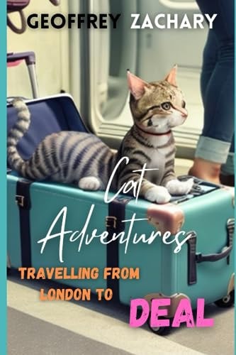 Cat Adventures Travelling from London to Deal