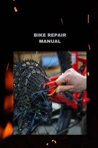 Bike Repair Manual Bit by Bit Guidelines to Lube and Really Investigate Your Chain