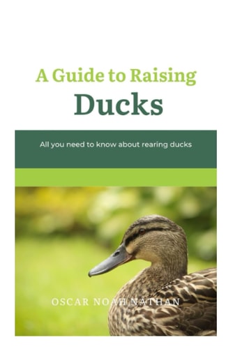 A Guide to Raising Ducks All You Need to Know about Rearing Duck