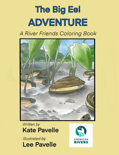 The Big Eel Adventure A River Friends Coloring Book