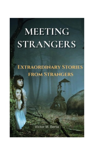 Meeting Strangers Extraordinary Stories from Strangers