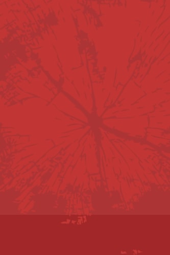Red Book Volume Two