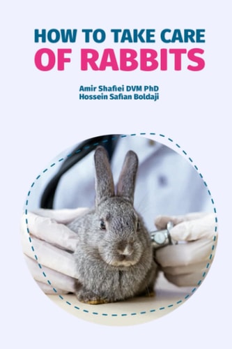 How to Take Care of Rabbits