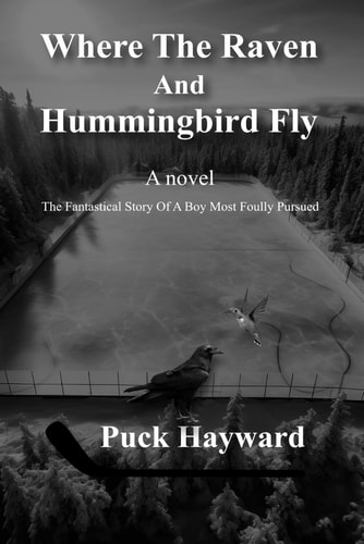 Where the Raven and Hummingbird Fly A Fantastical Story of a Boy Most Foully Pursued