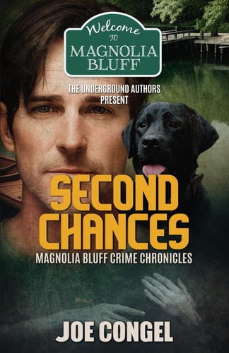 Second Chances Magnolia Bluff Crime Chronicles, Book 17