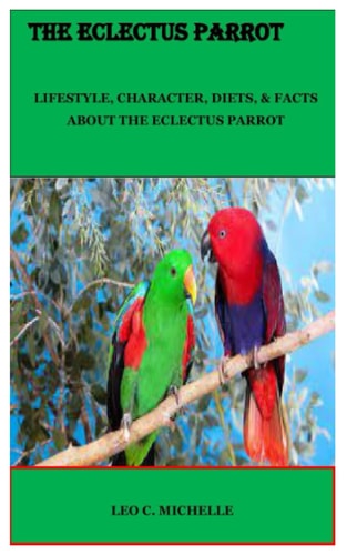 The Eclectus Parrot Lifestyle, Character, Diets, & Facts about the Eclectus Parrot