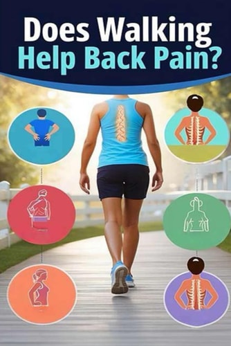 Does Walking Help Back Pain? Walking Can Help Relieve Back Pain by Strengthening Spine Muscles and Stabilizing Your Back. Here's the Best Way to Walk to Help Relieve Back Pain.