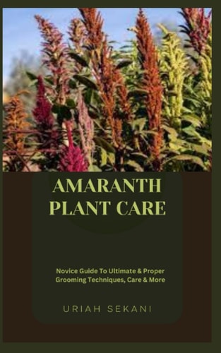 Amaranth Plant Care Novice Guide To Ultimate & Proper Grooming Techniques, Care & More