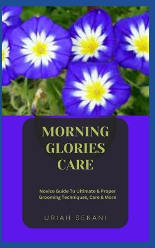 Morning Glories Care Novice Guide To Ultimate & Proper Grooming Techniques, Care & More
