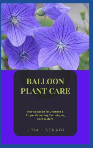 Balloon Plant Care Novice Guide To Ultimate & Proper Grooming Techniques, Care & More