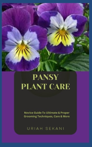 Pansy Plant Care Novice Guide To Ultimate & Proper Grooming Techniques, Care & More