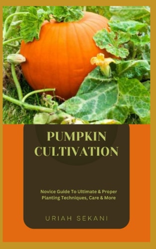 Pumpkin Cultivation Novice Guide To Ultimate & Proper Planting Techniques, Care & More