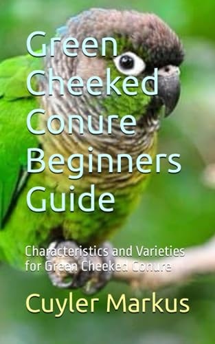 Green Cheeked Conure Beginners Guide Characteristics and Varieties for Green Cheeked Conure