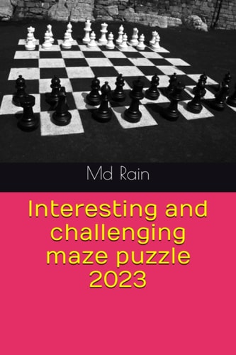 Interesting and Challenging Maze Puzzle 2023
