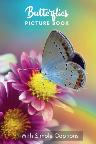 Picture Book of Butterflies Gift for Dementia Patients and Seniors Living with Alzheimer's Disease. Large Print for Adults with Simple Captions.