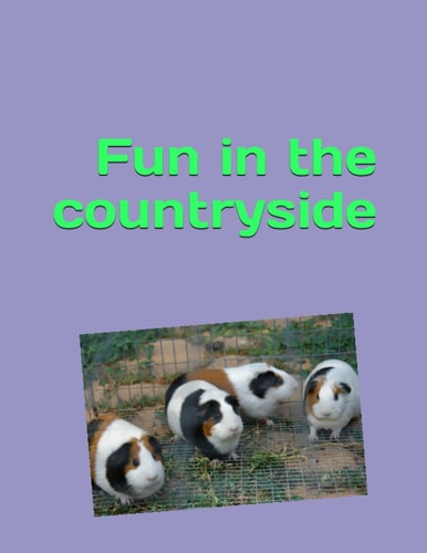 Fun in the Countryside