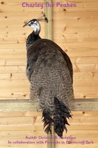 Charley the Peahen