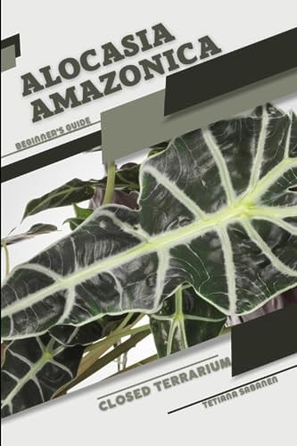 Alocasia Amazonica Closed Terrarium, Beginner's Guide