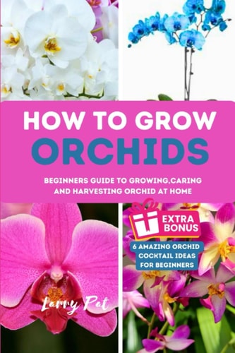 How to Grow Orchids Beginners Guide to Growing, Caring and Harvesting Orchid at Home