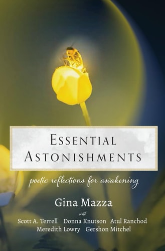 Essential Astonishments Poetic Reflections for Awakening