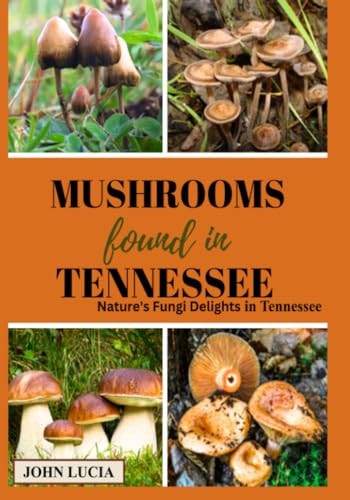 Mushrooms Found in Tennessee Nature's Fungi Delights in Tennessee