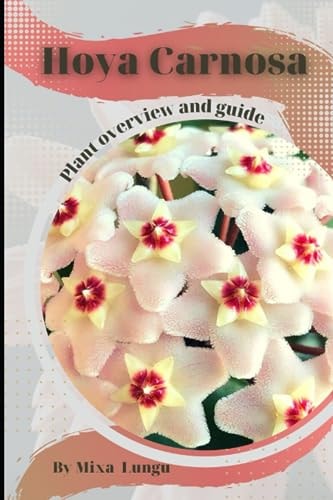 Hoya Carnosa Plant Overview and Guide