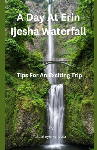 A Day At Erin Ijesha Waterfall Tips For An Exciting Trip