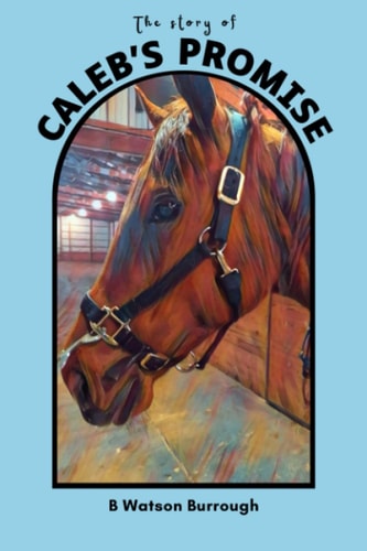 The Story of Caleb's Promise