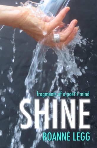 Shine Fragments of a Poet's Mind