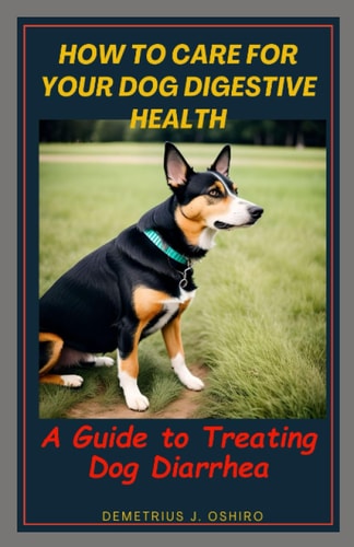 How to Care for Your Dog Digestive Health A Guide to Treating Dog Diarrhea