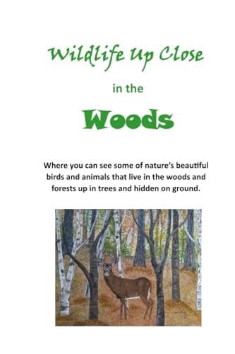 Wildlife Up Close In the Woods
