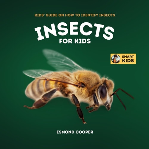 Insects for Kids Kids' Guide on How to Identify Insects