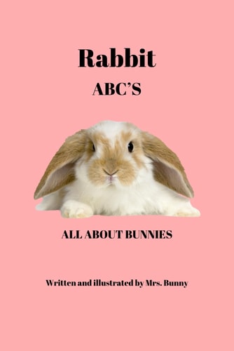 Rabbit ABC'S All about Bunnies