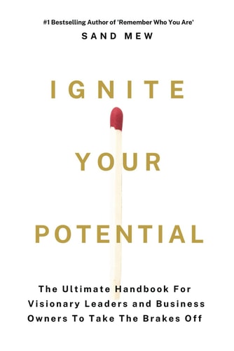 Ignite Your Potential The Ultimate Handbook For Visionary Leaders and Business Owners To Take The Brakes Off
