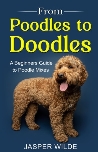 From Poodles to Doodles A Beginners Guide to Poodle Mixes