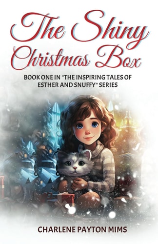 The Shiny Christmas Box