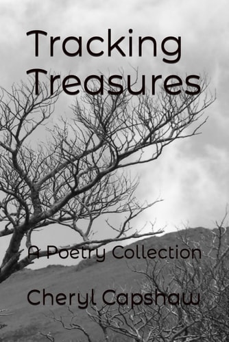 Tracking Treasures A Poetry Collection
