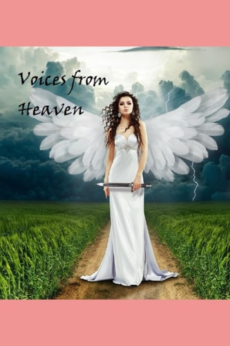 Voices from Heaven Testimonies Beyond the Veil