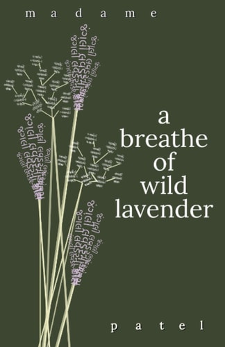 A Breathe of Wild Lavender